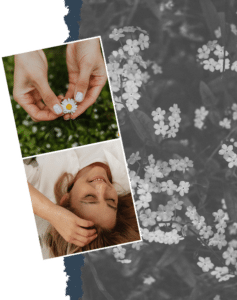 Two hands carefully holding a small flower symbolizing care, support, and emotional connection
