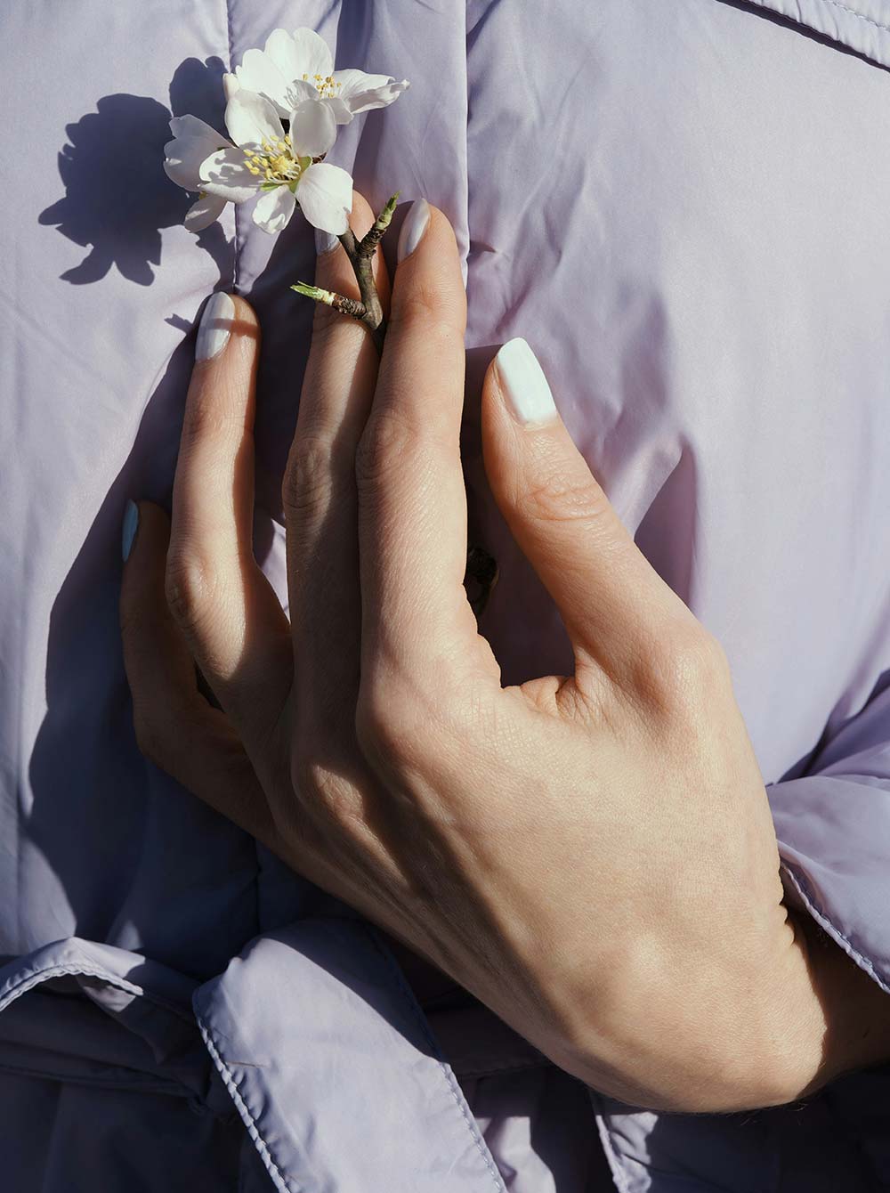 A hand holding a delicate flower, symbolizing self-worth, growth, and the nurturing of inner confidence.