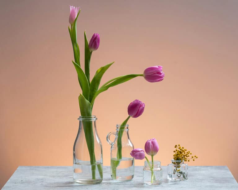A minimalist still life featuring several pink tulips and small yellow flowers arranged in four clear glass bottles and jars of varying sizes.