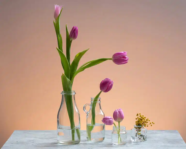 A minimalist still life featuring several pink tulips and small yellow flowers arranged in four clear glass bottles and jars of varying sizes.