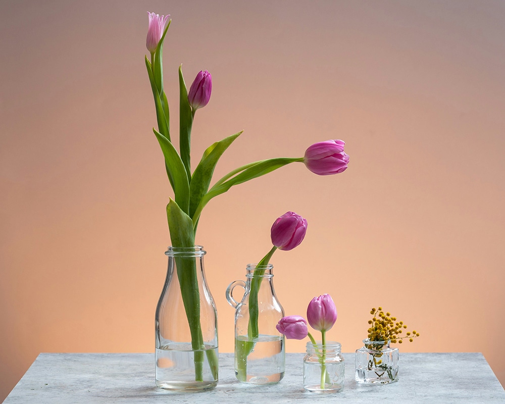 A minimalist still life featuring several pink tulips and small yellow flowers arranged in four clear glass bottles and jars of varying sizes.