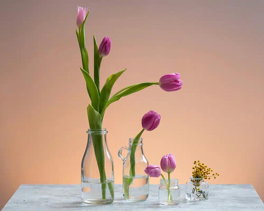 A minimalist still life featuring several pink tulips and small yellow flowers arranged in four clear glass bottles and jars of varying sizes.