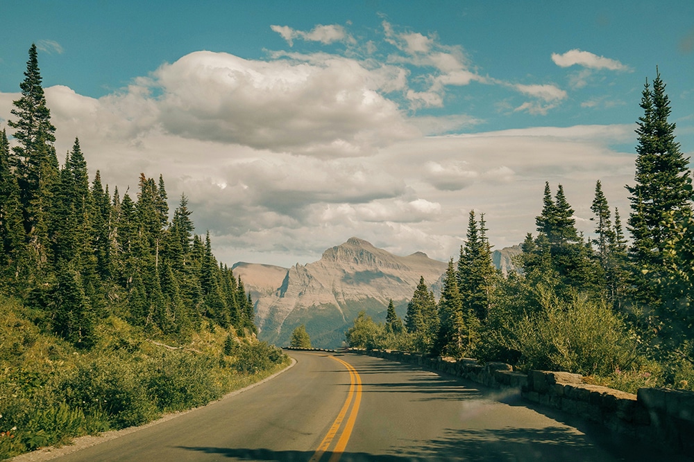 An eye-level shot looking down a winding two-lane mountain road with double yellow lines, disappearing into a lush pine forest.