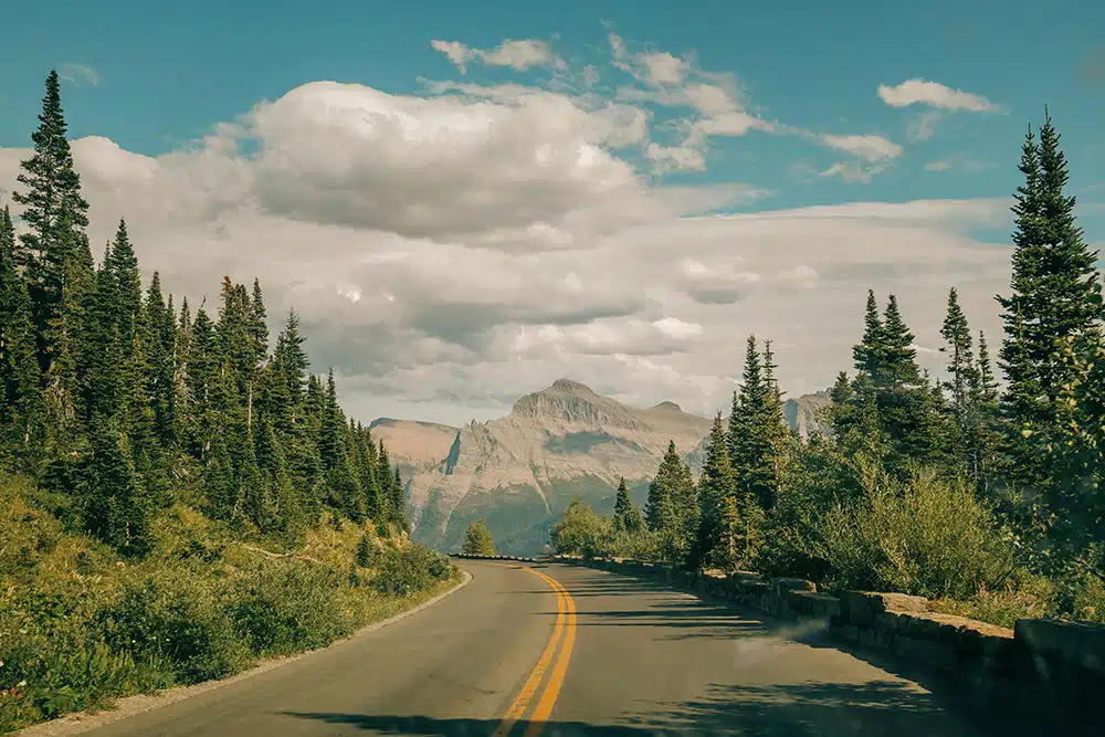 An eye-level shot looking down a winding two-lane mountain road with double yellow lines, disappearing into a lush pine forest.
