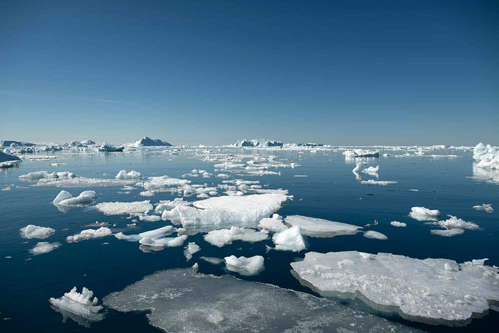 Icebergs floating in a calm blue ocean under clear sky