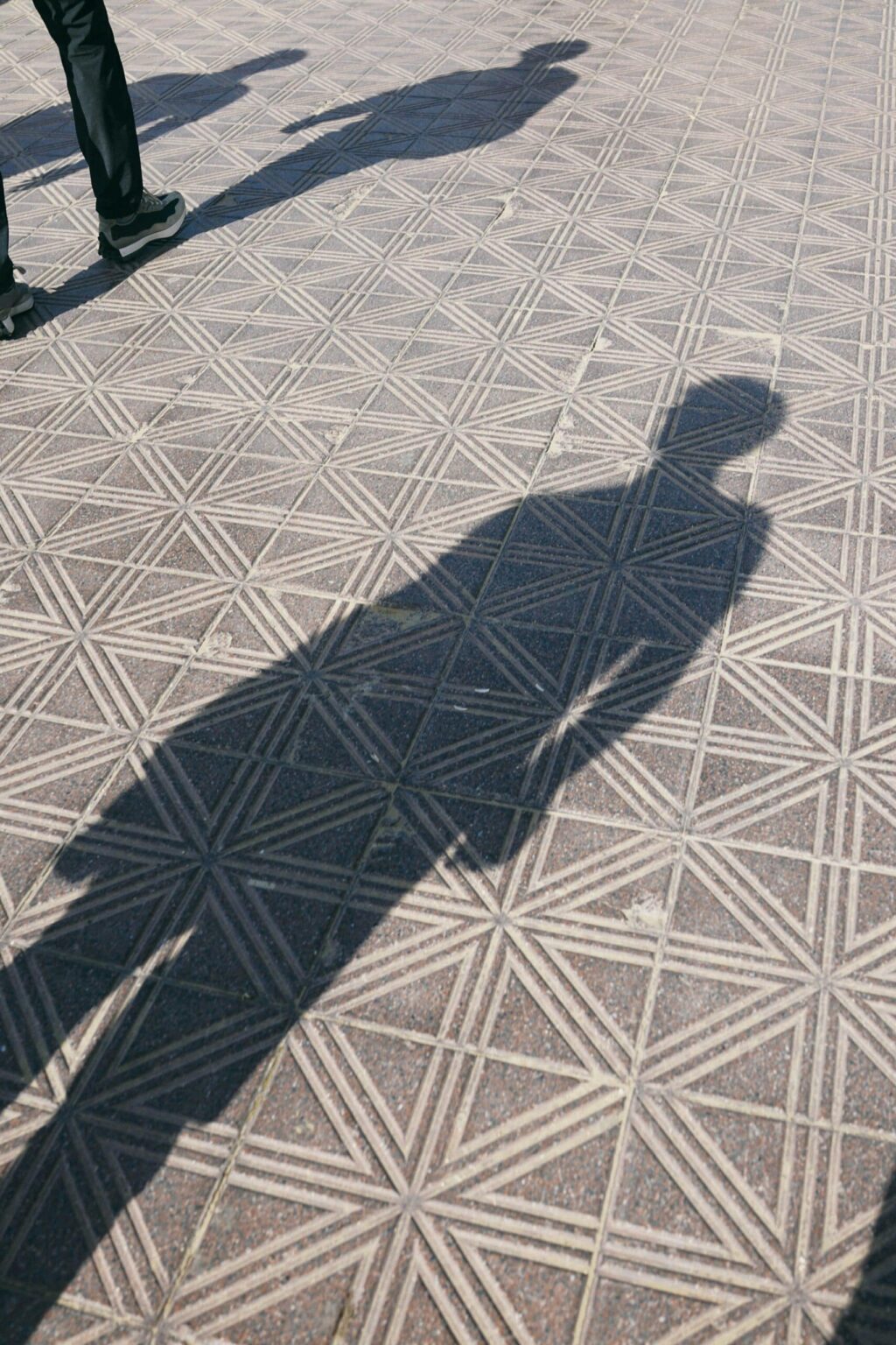 A shadow cast on the ground symbolizes identity, inner experience, and unseen emotional struggles beneath the surface.