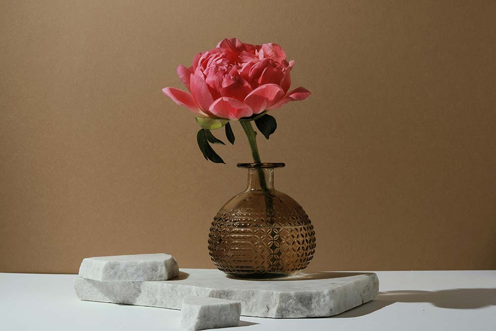 A pink peony in a glass vase on a pedestal