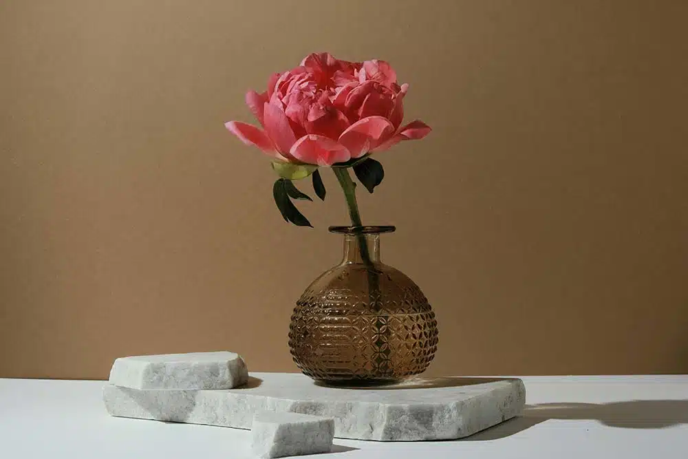 A pink peony in a glass vase on a pedestal