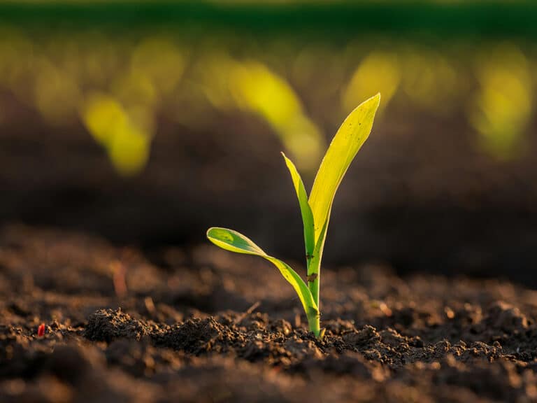 Taking Risk: How Healthy Risks Can Lead to Growth, Confidence, and Meaningful Change