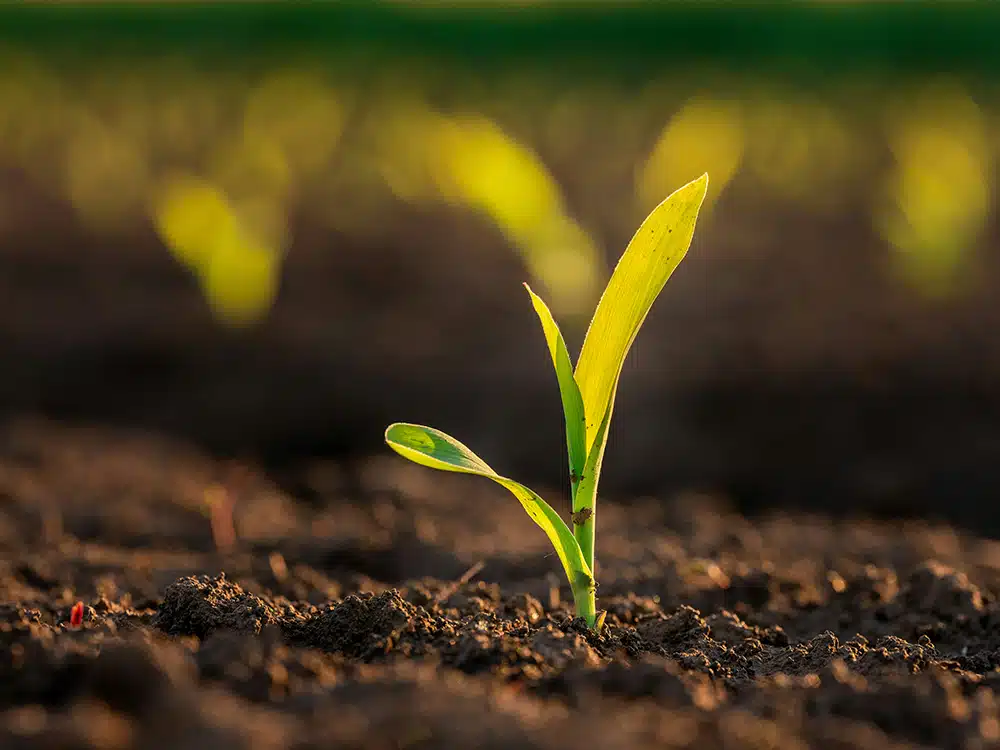 Taking Risk: How Healthy Risks Can Lead to Growth, Confidence, and Meaningful Change