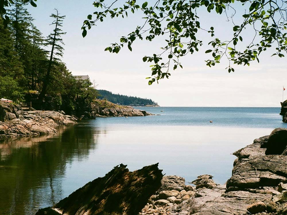 A beach with rocks and trees along the shore.